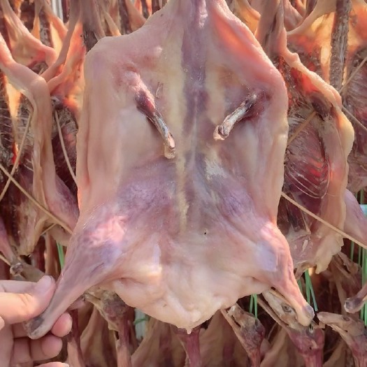 沙洋县腊鸭  咸水鸭大量现货供应