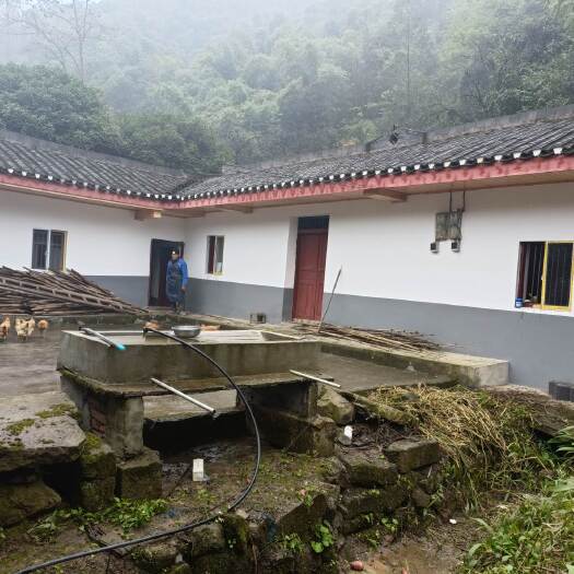 重庆市江北区山上两栋民房出租