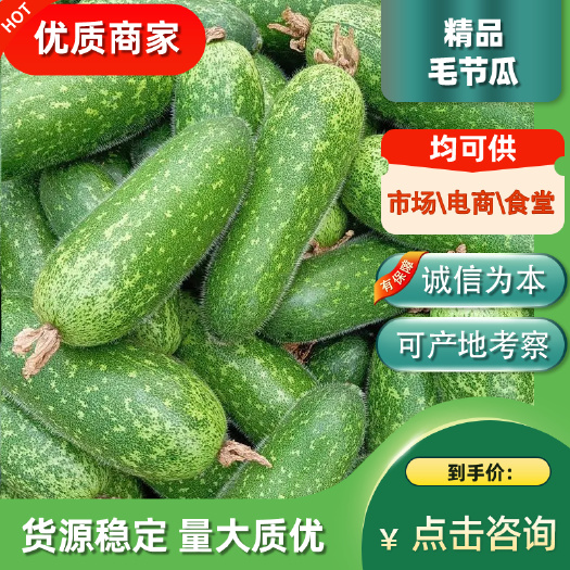 徐闻县【毛节瓜】【大量上市】长毛迷你小冬瓜清甜脆嫩爬藤现摘现发