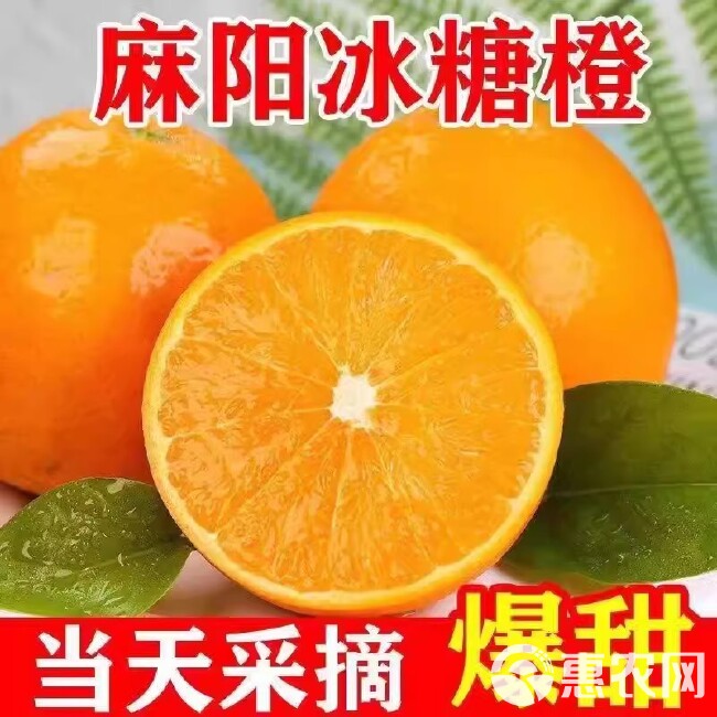 湖南麻阳冰糖橙新鲜橙子水果当季整箱果冻甜橙手剥橙子