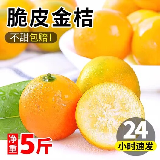 广西融安小金桔新鲜脆皮当季大果纯甜滑油皮蜜冰糖水果一级整箱