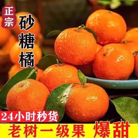 南宁广西砂糖橘新鲜水果橘子当季整箱无籽金秋砂糖桔小柑橘