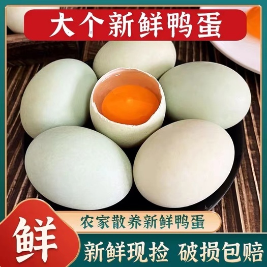 铜陵鲜鸭蛋现货供应，标准个头，优质水源，质量保证！