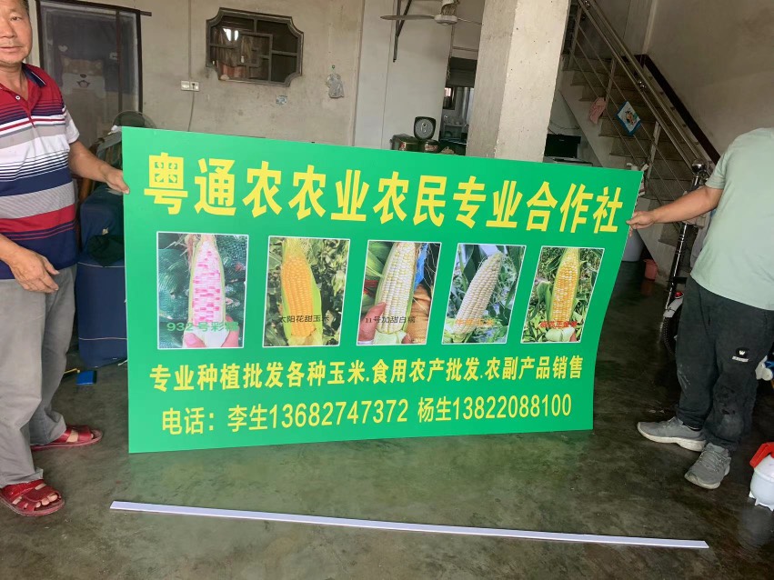 李煒杰的店