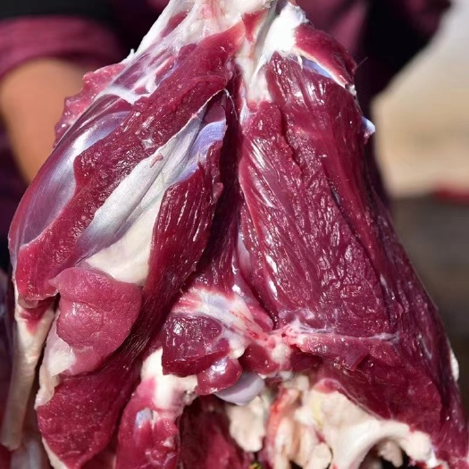 陕北横山羊肉塔湾跑山羊新鲜羊肉现杀现卖整只杀好羊肉