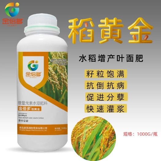 寿光市金倍多稻黄金麦黄金金大棒豆类粒粒满多豆满满棉花生大粒棉花多多