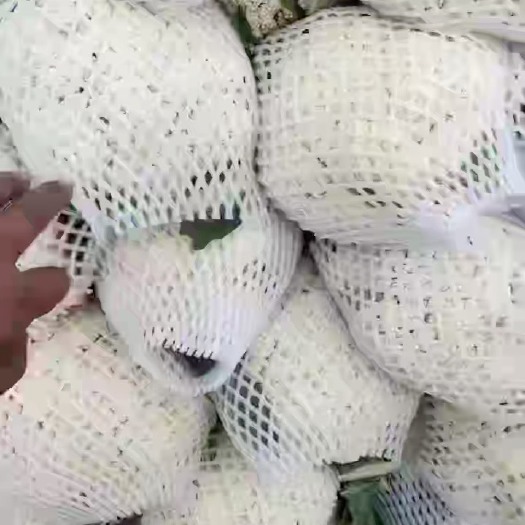 邯郸精品散花