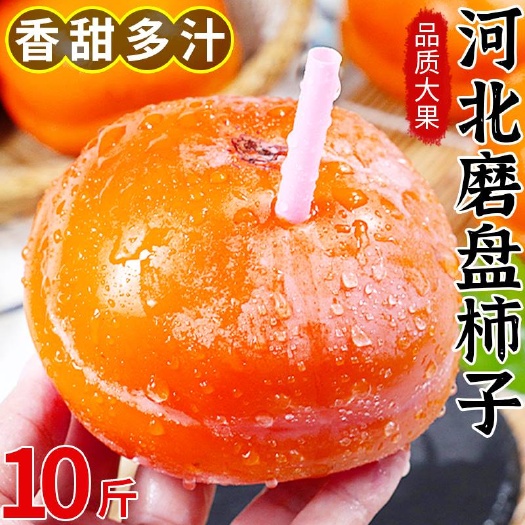 保定河北磨盘软柿子当季新鲜水果整箱大甜软黄揽盆柿非小火晶硬