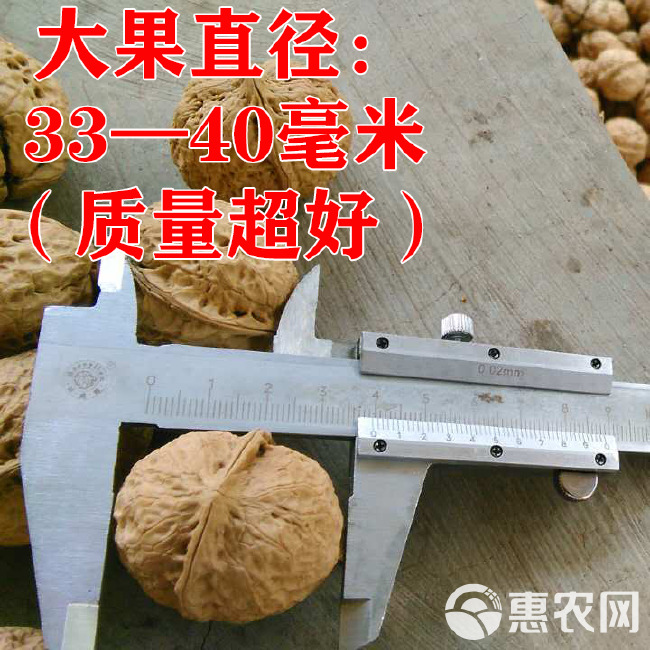 云南核桃大果一件代发薄皮核桃1—5斤包邮云南核桃