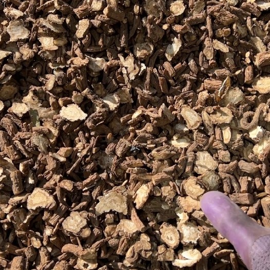 岷县精品当归圆片