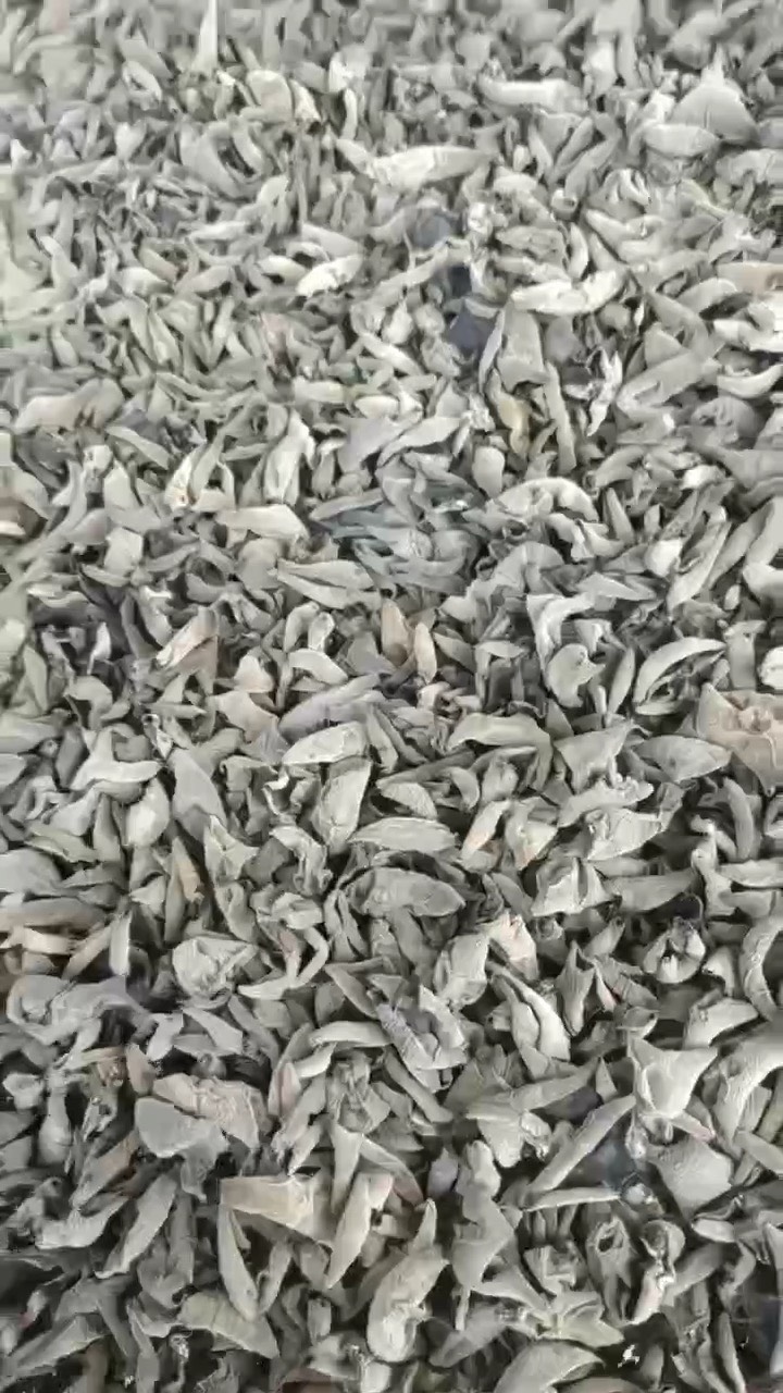 东北无根肉厚黑木耳干货秋木耳黑木耳干土特产做型木耳