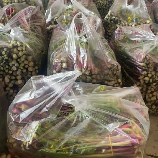 钟祥市货量大，价格便宜