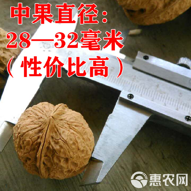 云南核桃大果一件代发薄皮核桃1—5斤包邮云南核桃