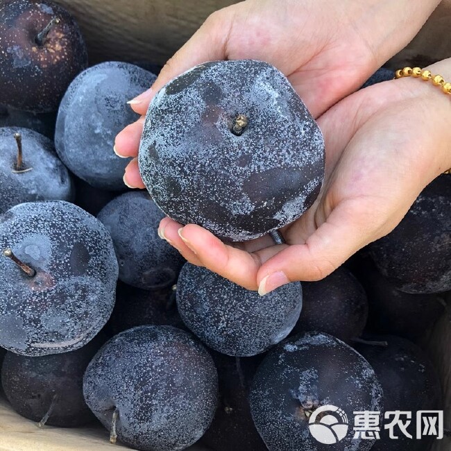 东北冻梨梨子新鲜水果苹果梨花盖梨整箱秋梨延边当季特产