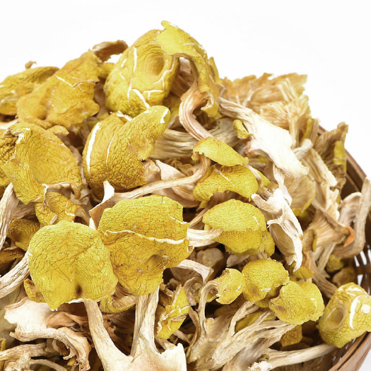 亳州鸡油菌源头基地直供云南特产食用菌黄丝菌煲汤榆黄菇干货蘑菇批发