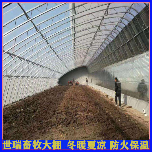 宁津县搭建种植大棚 蔬菜大棚建设 大棚钢管加工 花卉大棚