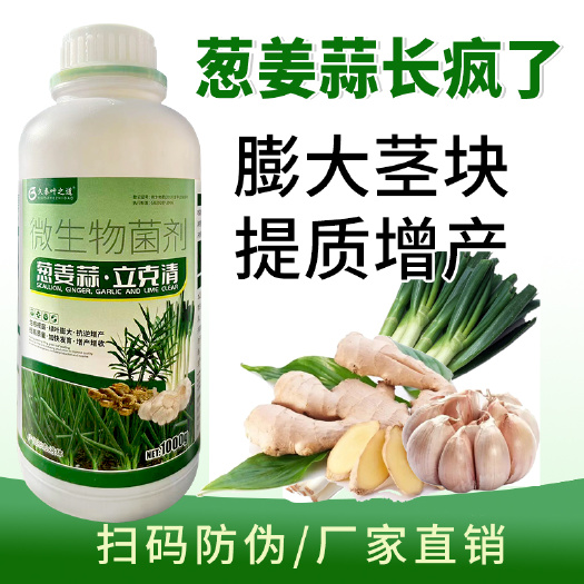 葱姜蒜专用肥料种菜肥厚叶片强根壮苗膨大果实抗病增产颗粒缓释肥