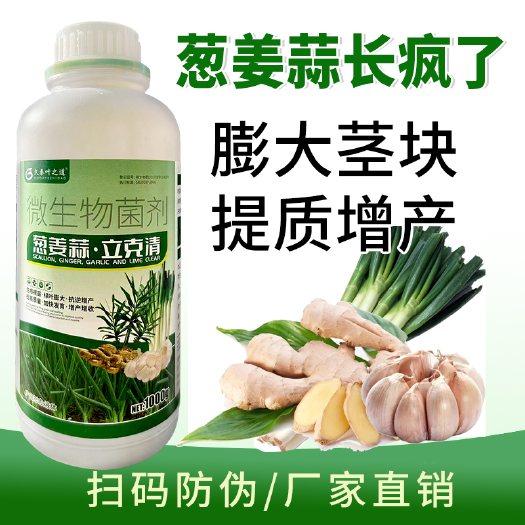 寿光市葱姜蒜专用肥料种菜肥厚叶片强根壮苗膨大果实抗病增产颗粒缓释肥