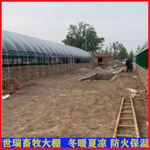 宁津县鸭舍大棚建设 养鸭大棚安装 肉鸭养殖大棚搭建厂家
