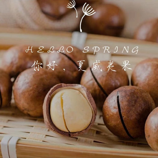 成都新货坚果夏威夷果开口年货零休闲零食批发