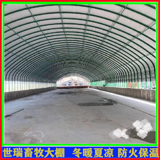 宁津县建设养羊大棚 羊舍大棚施工材料 养羊场羊棚安装厂家