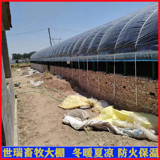 宁津县养牛大棚施工设计 牛舍大棚材料加工 肉牛养殖大棚搭建
