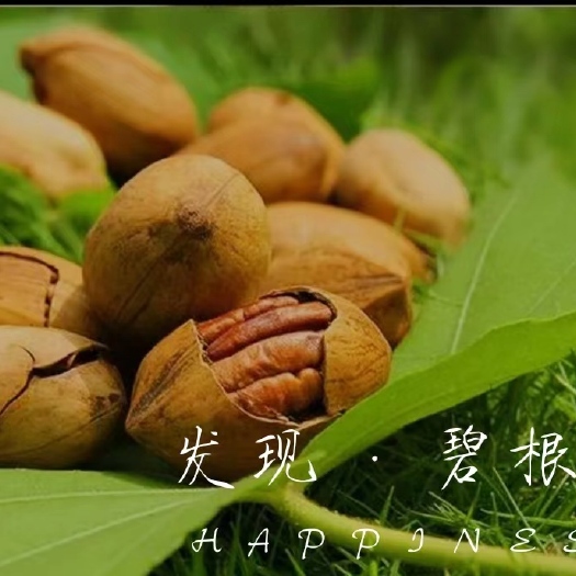 成都香香碧根果坚果零食休闲年货批发