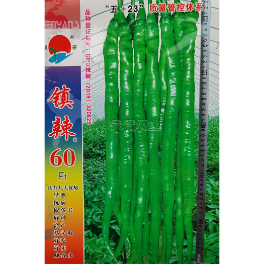武汉镇辣60超长50厘米线椒种子高端线椒种籽高产线椒种籽四季蔬菜