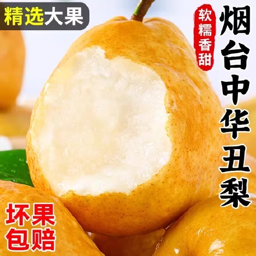 招远市烟台中华丑梨梨子山东新鲜水果当季香蕉太婆梨梨子整箱一件代发