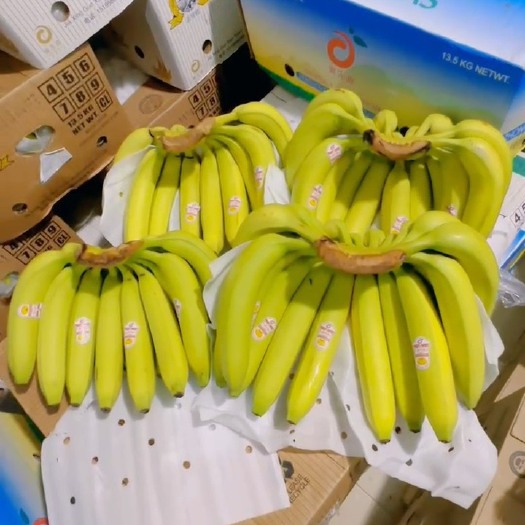 上海主要经营：菲律宾精品二级蕉，净重27斤，保质保量，大量现货。