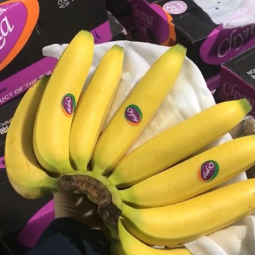 上海主要经营：菲律宾精品二级蕉，净重27斤，保质保量，大量现货。