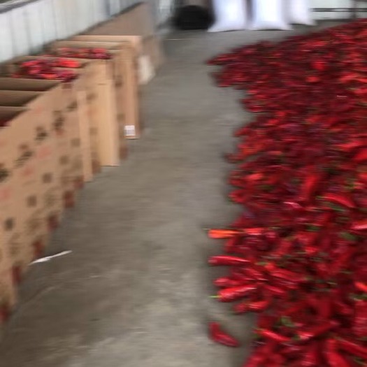 芜湖大红泡椒