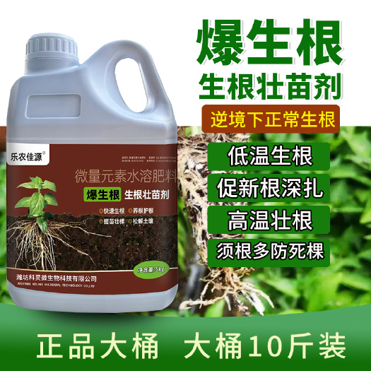 寿光市爆生根生根液移栽生根壮苗剂花卉树木扦插通用型强力生根剂冲施肥