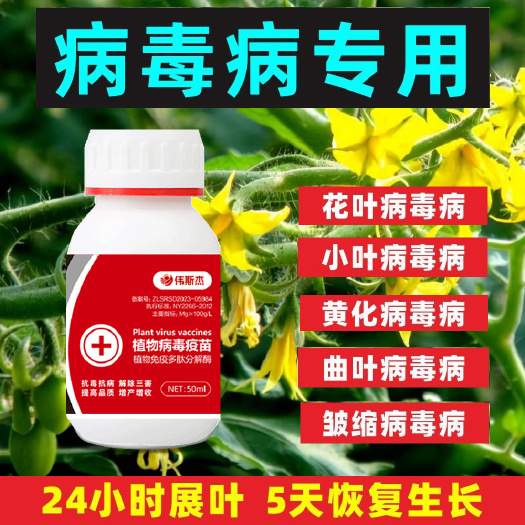 寿光市病毒病克星番茄辣椒西葫芦烟叶瓜果蔬菜病毒卷叶病效果显著