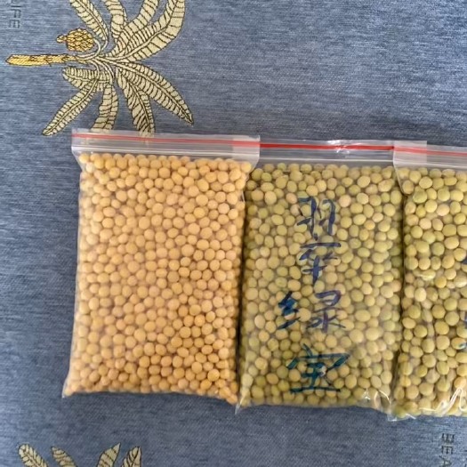铁岭大粒黄豆 单青豆联系