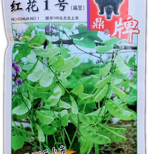 洛阳红花1号扁豆种子，重复结荚，口感好，棚室露地均可栽培，基地用