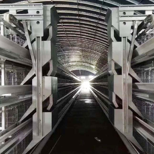 荥阳市自动化喂料机厂家 层叠式鸡笼喂养设备可行走喂料设备