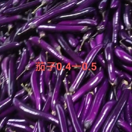 徐闻县专业代办十三年，现收现发，质量保证，诚信经营，支持各种包装，