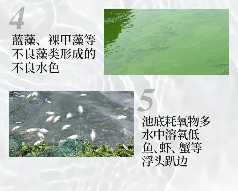 過硫酸氫鉀水產(chǎn)養(yǎng)殖專用改底凈水王底改凈水增氧除臭魚塘水質(zhì)調(diào)節(jié)