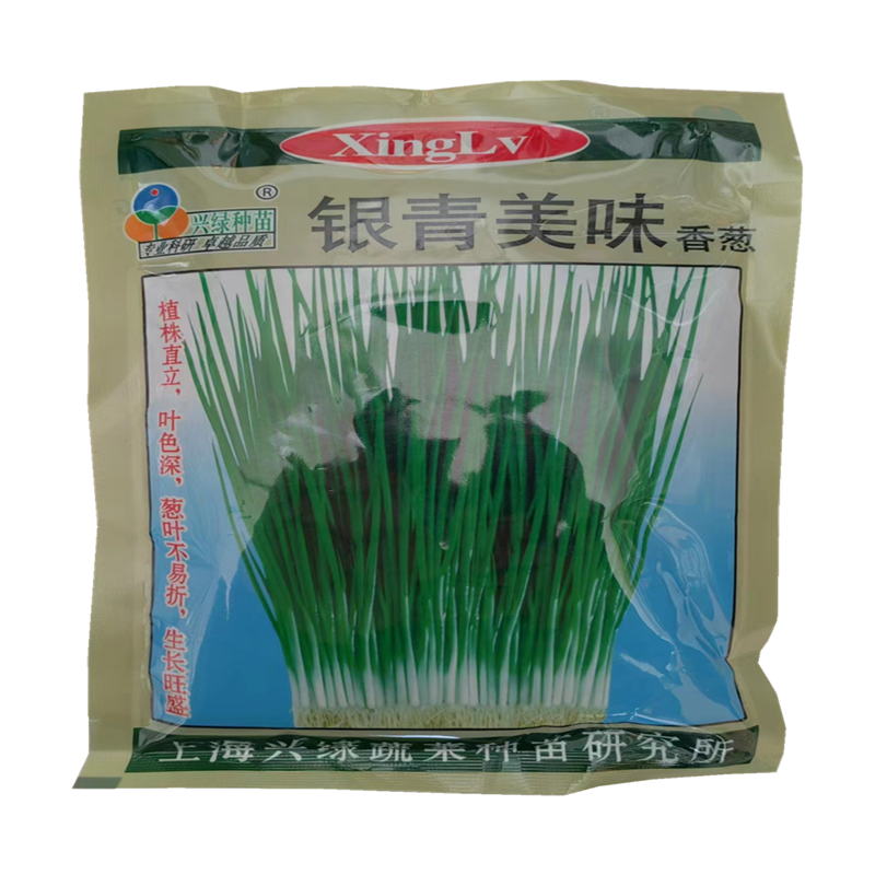 小香葱种子分蘖型四季小葱种子高产小葱籽春秋大田小分葱种子香味