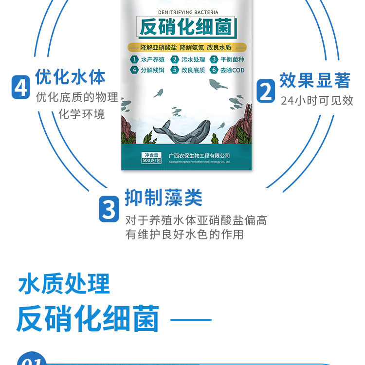 【农保】反硝化细菌降解亚硝酸盐超标改良水质去除蓝藻净化水质