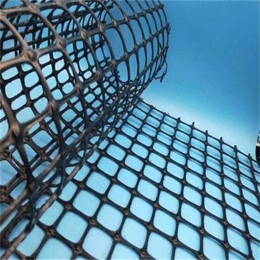 安平县塑料养殖围栏网家禽护栏网土工格栅漏粪网