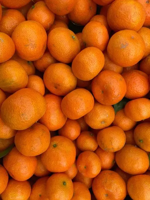 东方红砂糖桔一手货源，甜度足，一件代发