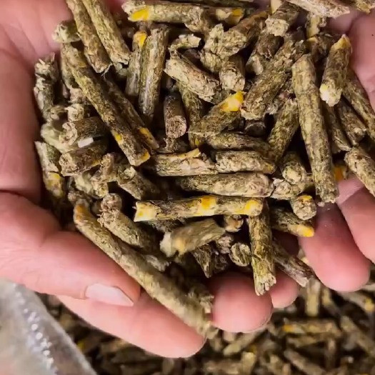 正阳县2013年新草颗粒饲料，高蛋白好吸收，易存放，省运费