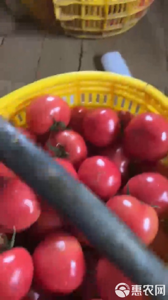 普罗旺斯水果西红柿