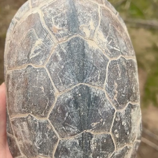 汉寿县外塘老