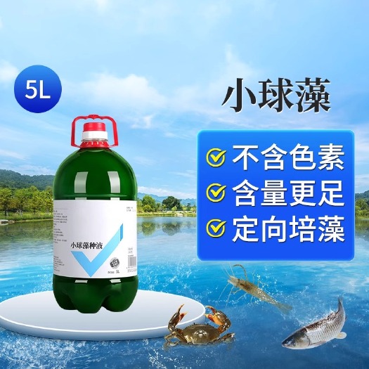 长沙小球藻藻种浓缩藻种复合藻种肥水培藻增氧水产养殖专用小球藻