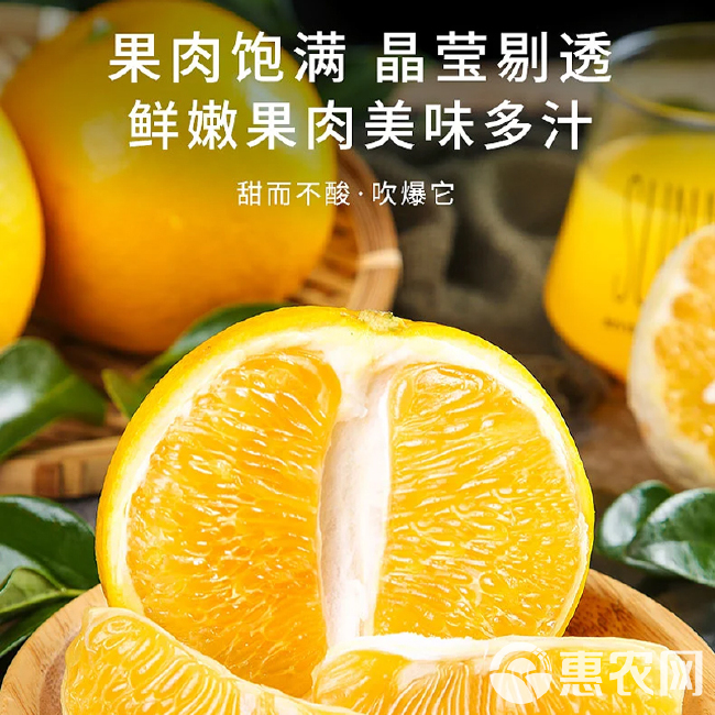 【预售】福建源头平和琯溪蜜柚葡萄柚黄肉蜜柚葡萄柚仓库保鲜水果