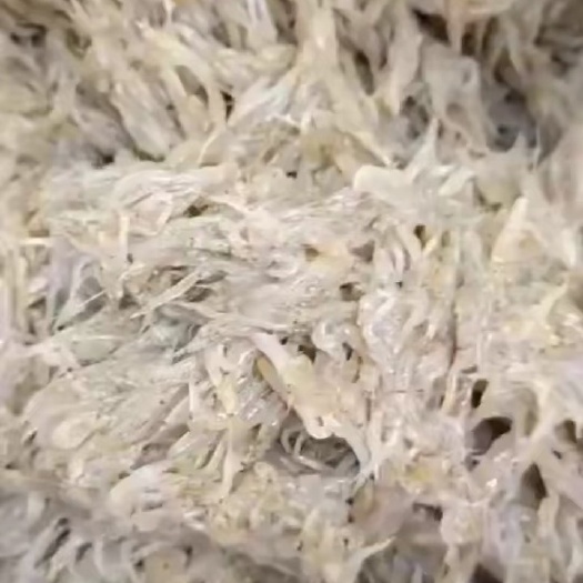 锦州喂虾的冷水猛虾 米虾 有需要的联系～