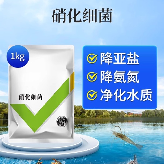 长沙硝化细菌水产养殖专用生物降氨氮亚硝酸盐调水净水反硝化细菌